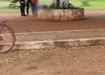 Homem mata colega a facadas para não dividir garrafa de cachaça, em RO