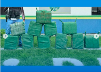 ALTA FLORESTA DO OESTE – Operação conjunta apreende 350 Kg de drogas e realiza prisão de duas pessoas