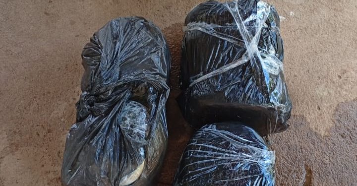 Polícia Militar de Costa Marques apreende mais de 12 kg de entorpecentes e prende suspeito de origem boliviana