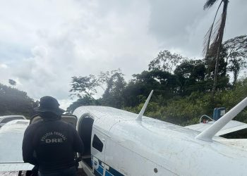 PF combate o tráfico interestadual de drogas em Rondônia