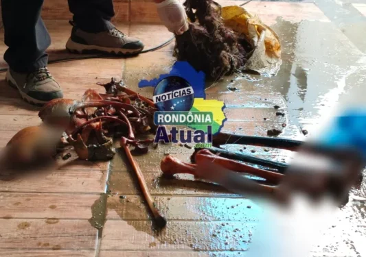 Ossada humana encontrada em poço artesiano em Ji-Paraná