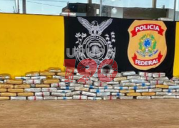 RONDÔNIA – Polícia Federal e PRF apreendem 350 kg maconha
