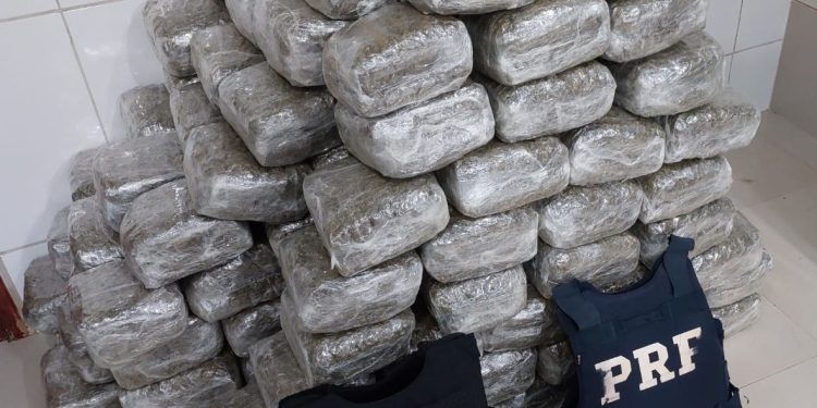 RONDÔNIA — Forças de segurança apreendem grande quantidade de drogas