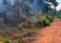 Vegetação queimada e fumaça em terreno baldio de Alvorada d’Oeste.