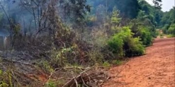 Vegetação queimada e fumaça em terreno baldio de Alvorada d’Oeste.